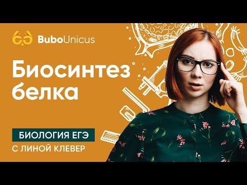 Видео: Биосинтез белка | БИОЛОГИЯ ЕГЭ 2021 | Лина Клевер