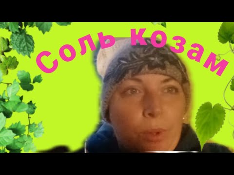 Видео: Соль для коз.