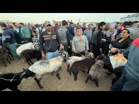 Видео: 21 сентября 2025 г. ТУРТКУЛЬ КУЙ БОЗОР НАРХЛАРИ
