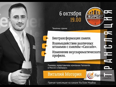Видео: Биотрансформация хмеля при использовании разных штаммов Fermentis