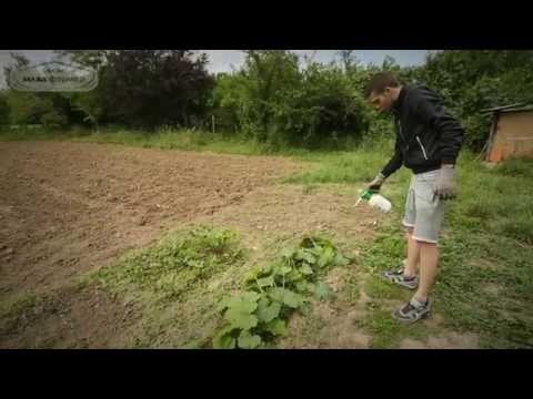 Видео: Мисия Млад фермер - епизод 8 - Растителна защита и торене