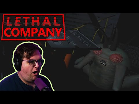 Видео: От чего мы бежим?!? | Смертельная компания с Марком и Уэйдом