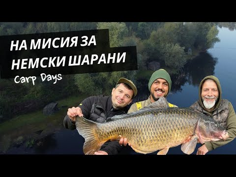Видео: CarpDays - в Германия за шарани и нов флаг