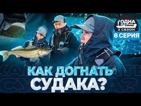 Видео: БИТВА ЗА СУДАКА | ПЕЛАГИЧЕСКАЯ РЫБАЛКА НА ВОДОХРАНИЛИЩЕ | «Одна в лодке» | 2 сезон | 8 серия