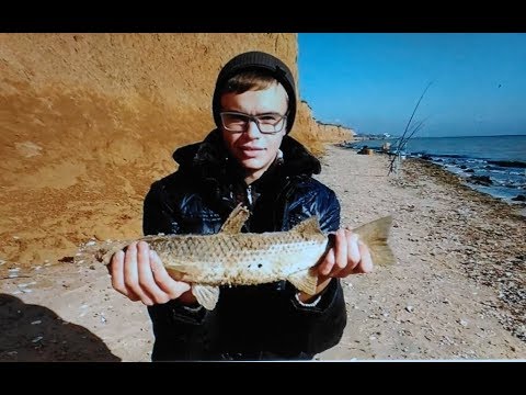 Видео: Серфовая рыбалка на пеленгаса