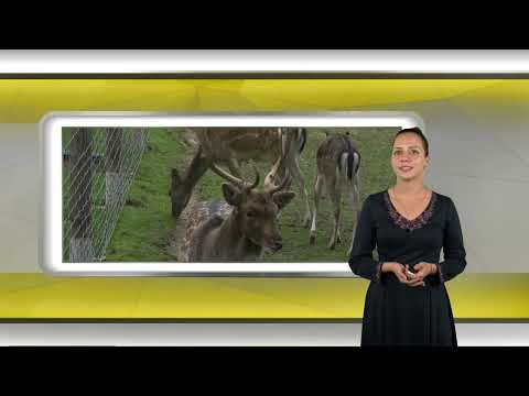 Видео: Централна емисия новини на АГРО ТВ – 08.10.2025 г.