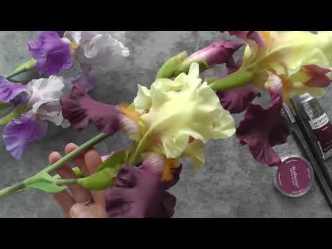 Видео: Ирис 2. Iris 2.