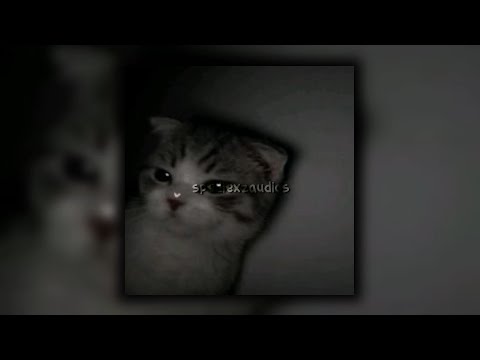 Видео: лифон - uniqe, nkeeei, ARTEM SHILOVETS feat. SAGARA (speed up)