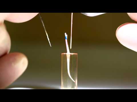 Видео: Гибридная методика обтурации корневых каналов "Геософт" GuttaEst