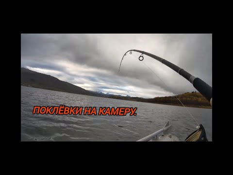 Видео: Рыбалка на спиннинг с лодки.Поклевка на камеру.