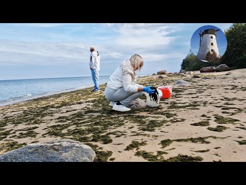Видео: ЗАЧЕМ МЫ ЭТО СОБИРАЕМ? КУДА ПРИСТРОИТЬ СТОЛЬКО ПЕРЦА?