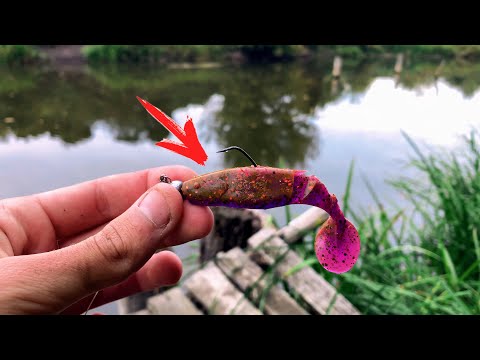 Видео: Классика работает на все 100: как ловить щуку на малых прудах и реках