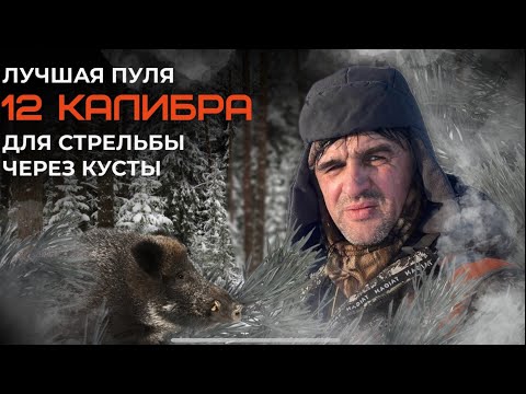 Видео: Лучшая пуля 12 калибра для стрельбы через кусты