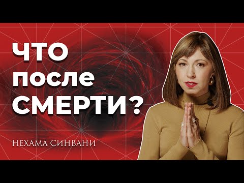 Видео: Все, чего вы не знали о смерти