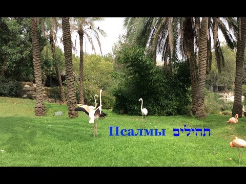 Видео: Изучаем Тэилим (Псалмы), №47 תהילים, פרק מז  Урок ведёт: Йорам Лемельман