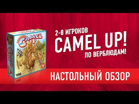 Видео: Camel Up! По верблюдам! Обзор настольной игры