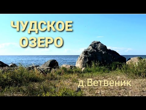 Видео: Чудское озеро