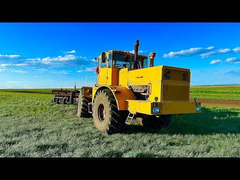 Видео: Работа с тяжелым культиватором КНК-6 Трактор кировец К-700А