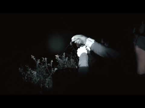 Видео: Трофейная щука 