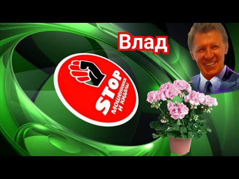 Видео: Приколы с телефонными мошенниками жестко и с юмором. Автор Влад.