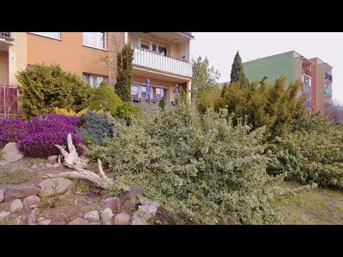 Видео: 🌷 Так бы везде! Как в Польше заботятся о придомовых территориях 🏡💚. Весна в Польше.