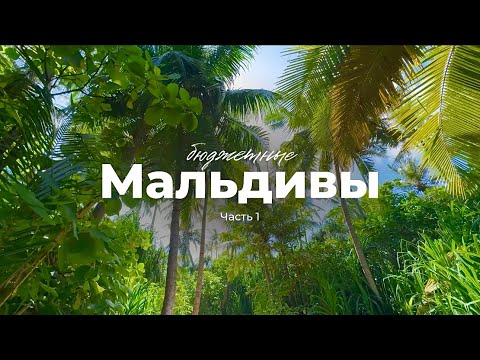 Видео: Бюджетные Мальдивы: локальные острова и райский отдых | Lifestyle Vlog | ЧАСТЬ 1