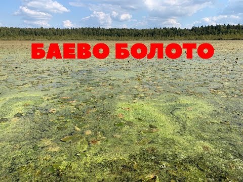 Видео: Два Шерпа на Баевом болоте!