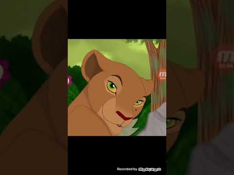 Видео: Розета самая красивая