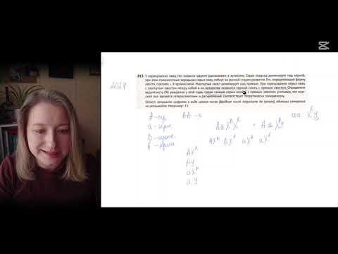 Видео: Биология ЦТ 2024 В13