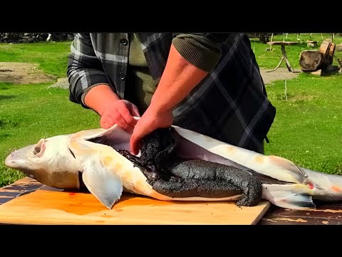 Видео: Як приготувати рибу на грилі в сільській місцевості #yummmmy #fish