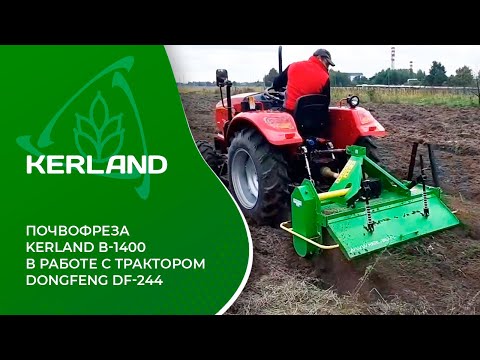 Видео: 🔥 Фреза Kerland B-1400 в работе с трактором Dongfeng DF-244 G2