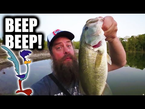 Видео: Вот почему я люблю приманку Underspin Spinnerbait (ловля окуня)