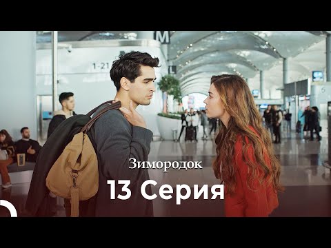 Видео: Зимородок 13 Cерия (Русский дубляж) (4K)