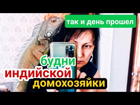Видео: Вот так и живём. Будни индийской домохозяйки. Встаю раньше солнца #индия