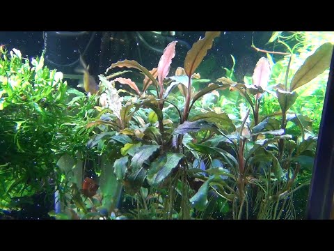 Видео: Первые новости этого года.Удивил результат.