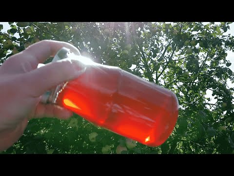 Видео: Яблочное желе. Необыкновенный десерт! Apple jelly.