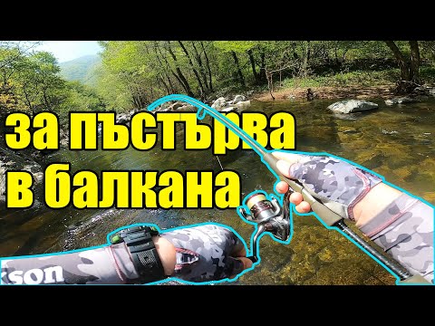 Видео: РИБОЛОВ НА ПЪСТЪРВА НА ПЛАНИНСКА РЕКА В РОДОПИТЕ