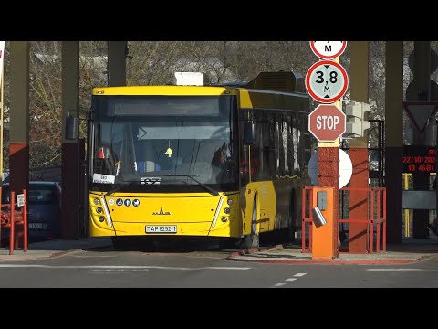 Видео: Чем встречает профессиональный праздник Пинский автобусный парк
