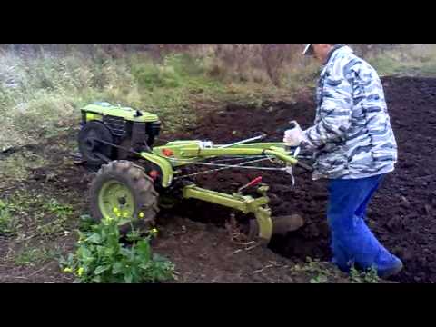 Видео: Оранка.mp4