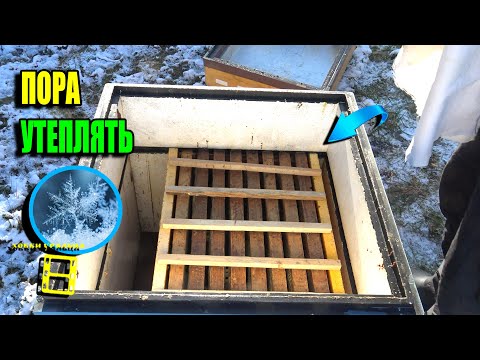 Видео: ВРЕМЯ РАЗУМНОГО УТЕПЛЕНИЯ ПЧЕЛ ДЛЯ УСПЕШНОЙ ЗИМОВКИ НА УЛИЦЕ. ПЧЕЛОВОДСТВО 25-38