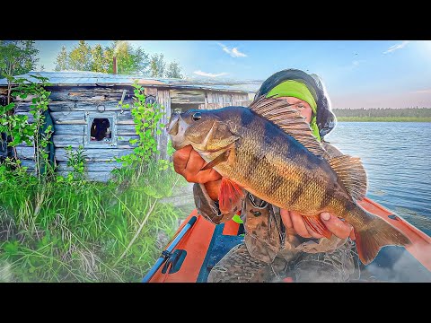 Видео: ОЗЕРО В ГЛУХОМАНИ ОПРАВДАЛО СЕБЯ. ИЗБУШКА В ГЛУШИ. РЫБАЛКА КАК НАДО. ТРОФЕЙНЫЕ ОКУНИ И ЩУКИ.
