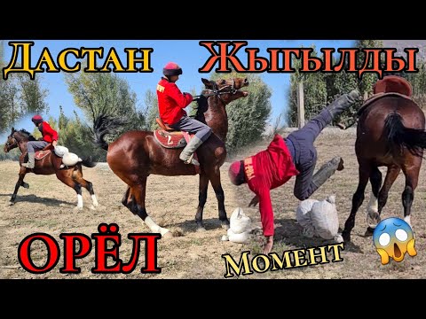 Видео: ЖЫГЫЛДЫ 😱УПАЛ С ОРЛА 😁14 октября 2021 г.