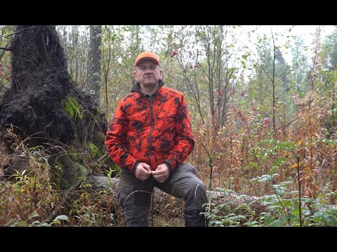 Видео: Рискованная охота. Собака попала под медведя.