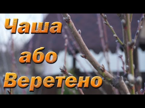 Видео: Веретено или чаша для персика?