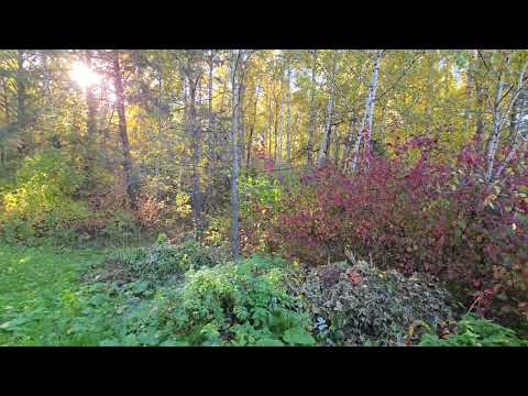 Видео: Тест режимов видео samsung s25 ultra hdr без hdr, 264