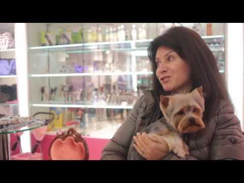 Видео: Бутик Собачья Жизнь на Таврической 27