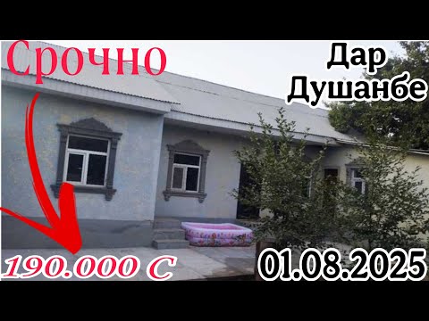 Видео: Хонахои фуруши арзон ✔😱( 01.08.2025) Фақат аз Душанбе Чумхурии Точикистон (Авто тв)