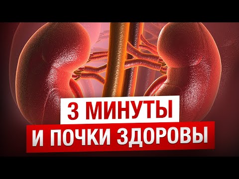 Видео: Самые полезные упражнения для ПОЧЕК / Комплекс упражнений для здоровья почек