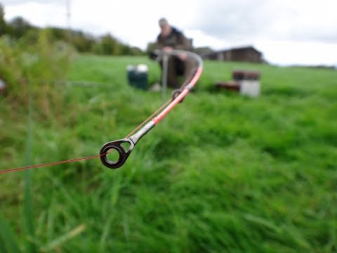 Видео: Основы ФИДЕРА простыми словами от Антона Мальцева Рыбалка на фидер, ловля плотвы и подлещика СИБИРИЯ