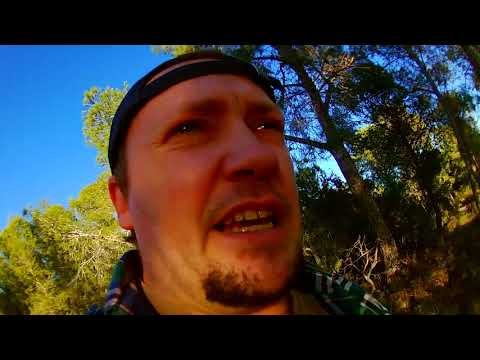 Видео: Какие Концерты Самые Сложные?!
